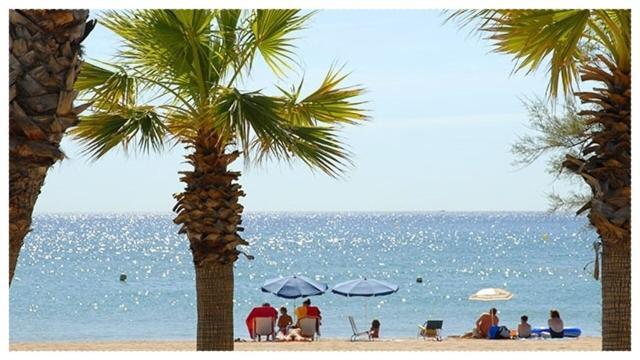 Appartement Climatise A 800M De La Plage Fréjus Dış mekan fotoğraf